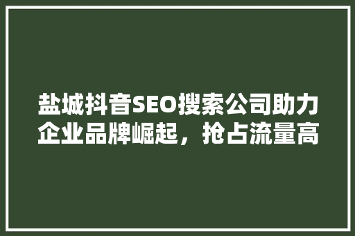 盐城抖音SEO搜索公司助力企业品牌崛起，抢占流量高地