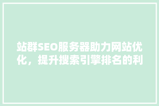 站群SEO服务器助力网站优化，提升搜索引擎排名的利器