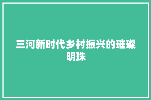 三河新时代乡村振兴的璀璨明珠  第1张