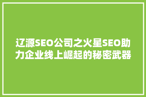 辽源SEO公司之火星SEO助力企业线上崛起的秘密武器