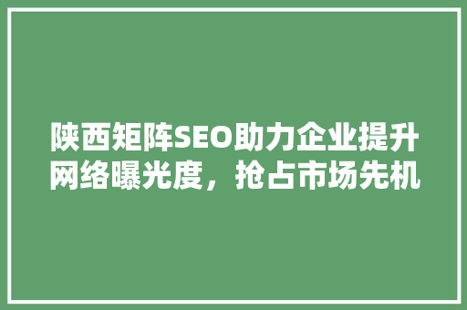 陕西矩阵SEO助力企业提升网络曝光度，抢占市场先机