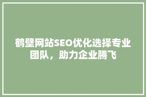 鹤壁网站SEO优化选择专业团队，助力企业腾飞