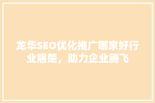 龙华SEO优化推广哪家好行业翘楚，助力企业腾飞  第1张