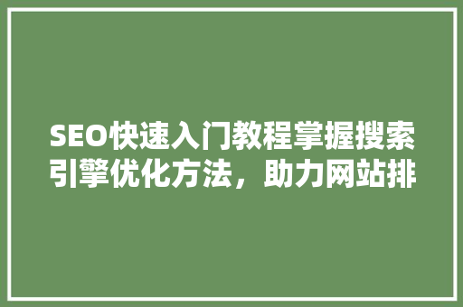 SEO快速入门教程掌握搜索引擎优化方法，助力网站排名提升