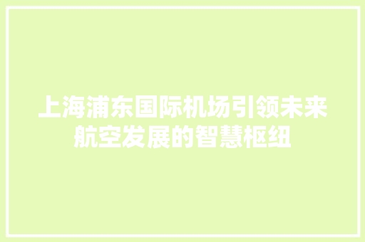 上海浦东国际机场引领未来航空发展的智慧枢纽  第1张