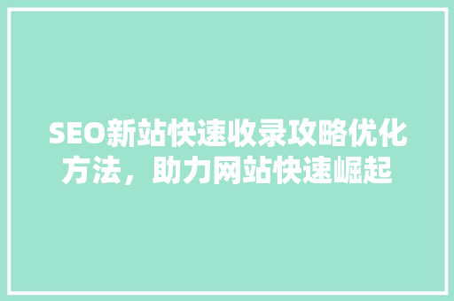 SEO新站快速收录攻略优化方法，助力网站快速崛起
