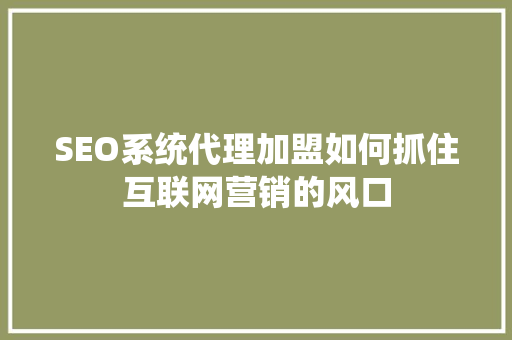 SEO系统代理加盟如何抓住互联网营销的风口