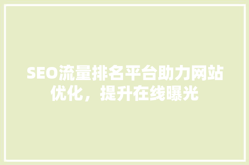 SEO流量排名平台助力网站优化，提升在线曝光