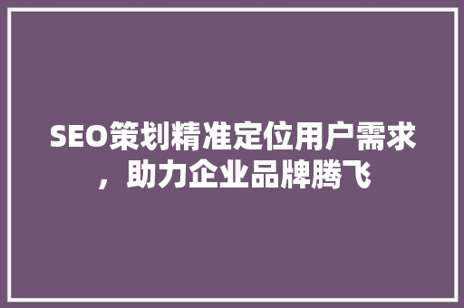 SEO策划精准定位用户需求，助力企业品牌腾飞  第1张