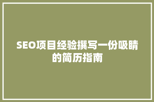 SEO项目经验撰写一份吸睛的简历指南