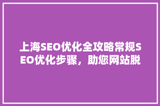 上海SEO优化全攻略常规SEO优化步骤，助您网站脱颖而出