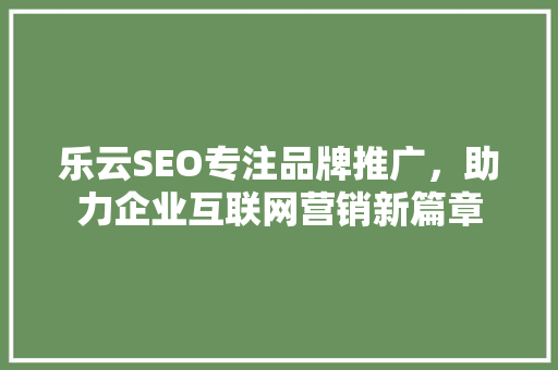 乐云SEO专注品牌推广，助力企业互联网营销新篇章