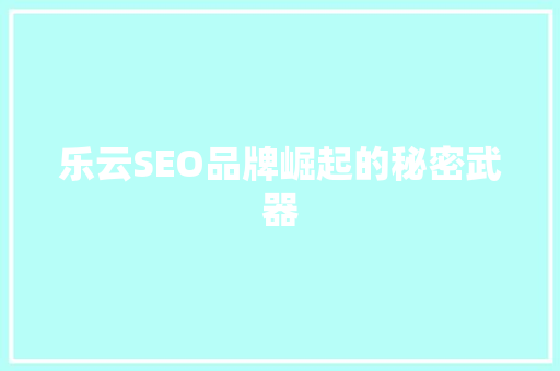乐云SEO品牌崛起的秘密武器