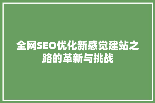 全网SEO优化新感觉建站之路的革新与挑战
