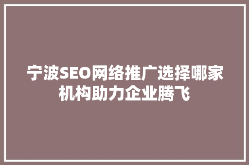 宁波SEO网络推广选择哪家机构助力企业腾飞
