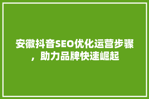 安徽抖音SEO优化运营步骤，助力品牌快速崛起