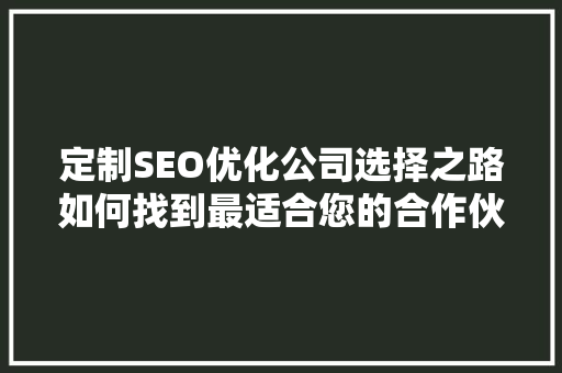 定制SEO优化公司选择之路如何找到最适合您的合作伙伴