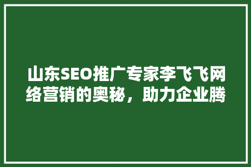 山东SEO推广专家李飞飞网络营销的奥秘，助力企业腾飞