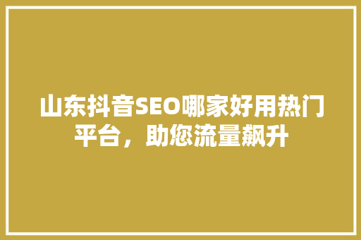 山东抖音SEO哪家好用热门平台，助您流量飙升