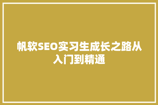 帆软SEO实习生成长之路从入门到精通