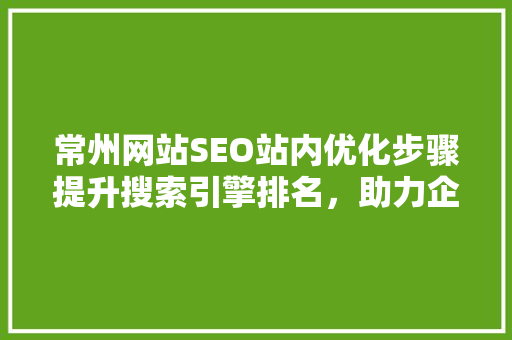 常州网站SEO站内优化步骤提升搜索引擎排名，助力企业腾飞