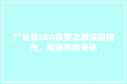 广东省SEO获客之路深耕细作，赢得市场先机
