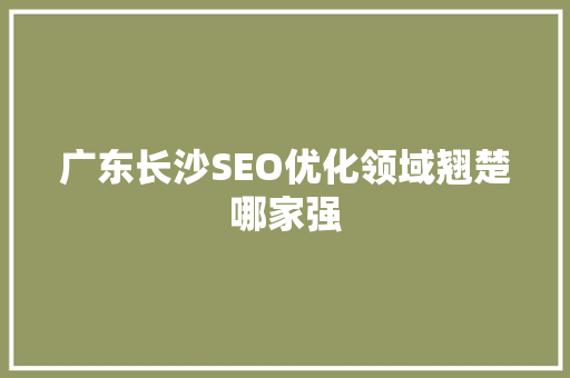 广东长沙SEO优化领域翘楚哪家强