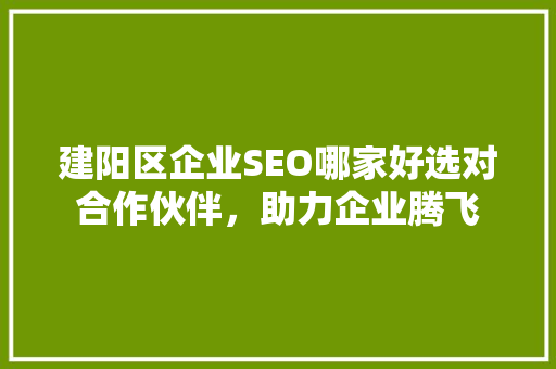 建阳区企业SEO哪家好选对合作伙伴，助力企业腾飞