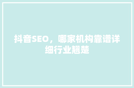 抖音SEO，哪家机构靠谱详细行业翘楚