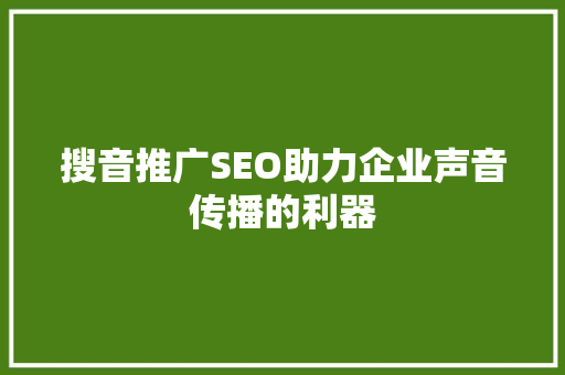 搜音推广SEO助力企业声音传播的利器