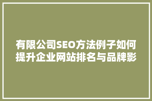 有限公司SEO方法例子如何提升企业网站排名与品牌影响力  第1张