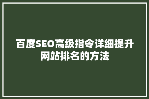百度SEO高级指令详细提升网站排名的方法