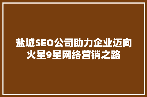 盐城SEO公司助力企业迈向火星9星网络营销之路