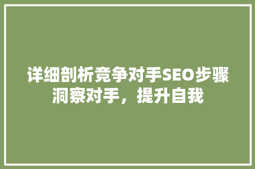 详细剖析竞争对手SEO步骤洞察对手，提升自我  第1张