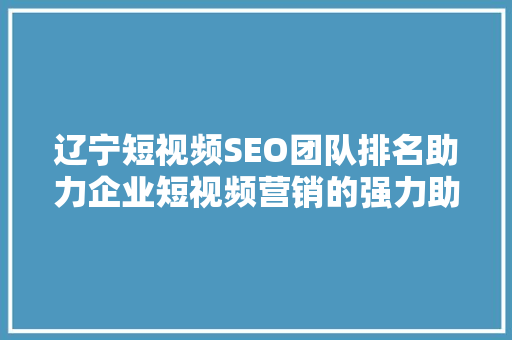 辽宁短视频SEO团队排名助力企业短视频营销的强力助手  第1张