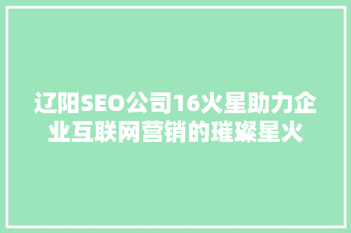 辽阳SEO公司16火星助力企业互联网营销的璀璨星火