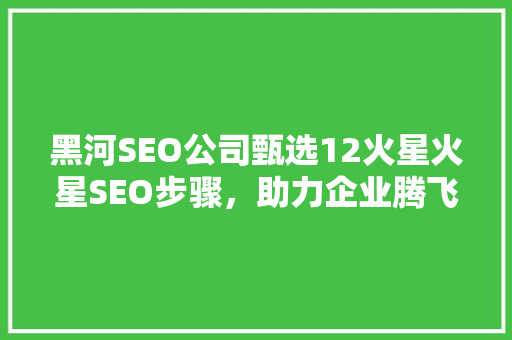 黑河SEO公司甄选12火星火星SEO步骤，助力企业腾飞