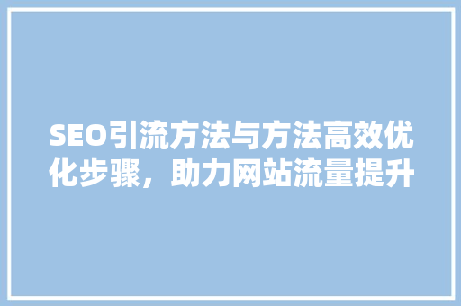 SEO引流方法与方法高效优化步骤，助力网站流量提升
