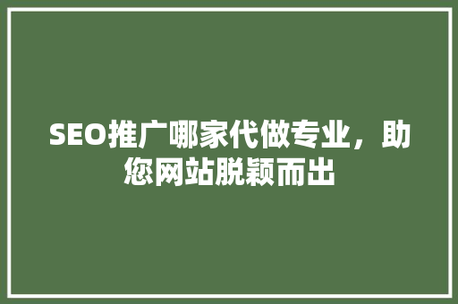 SEO推广哪家代做专业，助您网站脱颖而出