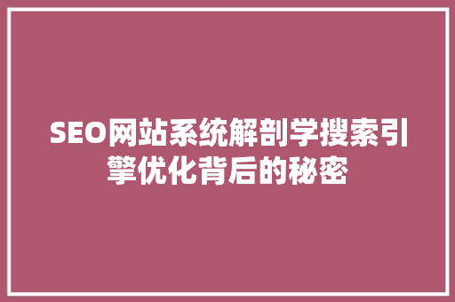 SEO网站系统解剖学搜索引擎优化背后的秘密  第1张