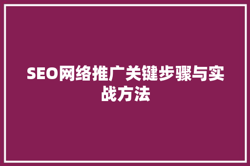SEO网络推广关键步骤与实战方法