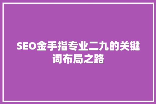 SEO金手指专业二九的关键词布局之路