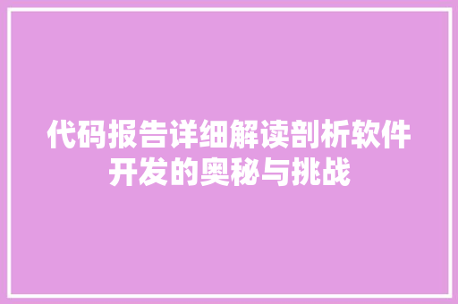 代码报告详细解读剖析软件开发的奥秘与挑战