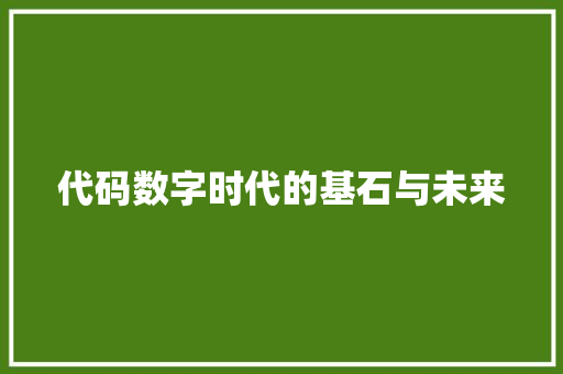 代码数字时代的基石与未来