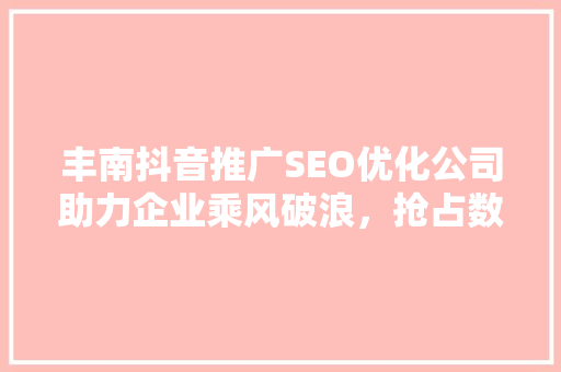 丰南抖音推广SEO优化公司助力企业乘风破浪，抢占数字营销制高点