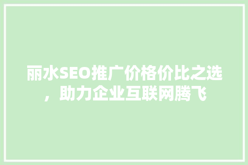 丽水SEO推广价格价比之选，助力企业互联网腾飞