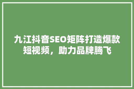 九江抖音SEO矩阵打造爆款短视频，助力品牌腾飞