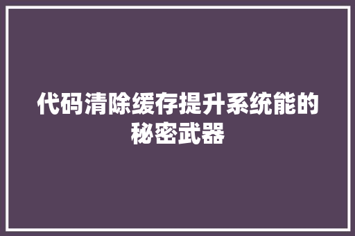 代码清除缓存提升系统能的秘密武器  第1张