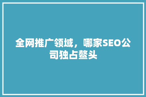 全网推广领域，哪家SEO公司独占鳌头