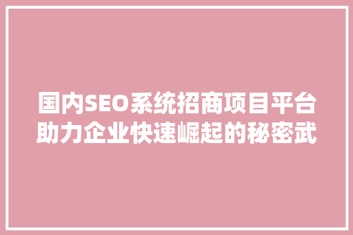 国内SEO系统招商项目平台助力企业快速崛起的秘密武器